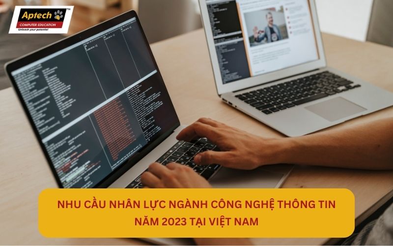 Nhu cầu Nhân lực ngành Công nghệ thông tin năm 2023 tại Việt Nam