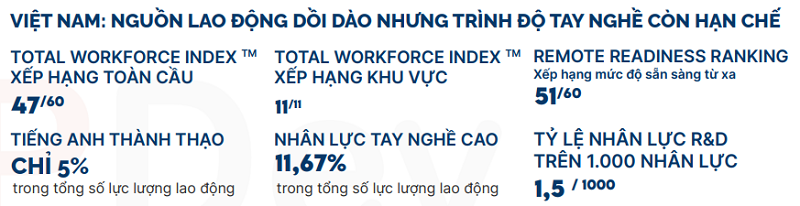 Thị trường nhân lực ngành Công nghệ thông tin tại Việt Nam 2024 có gì (3)