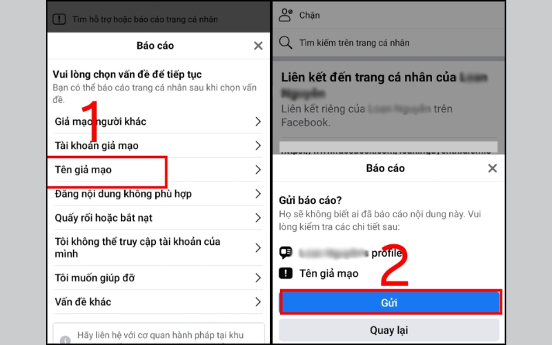 Chọn lý do Tên giả mạo rồi nhấn Gửi
