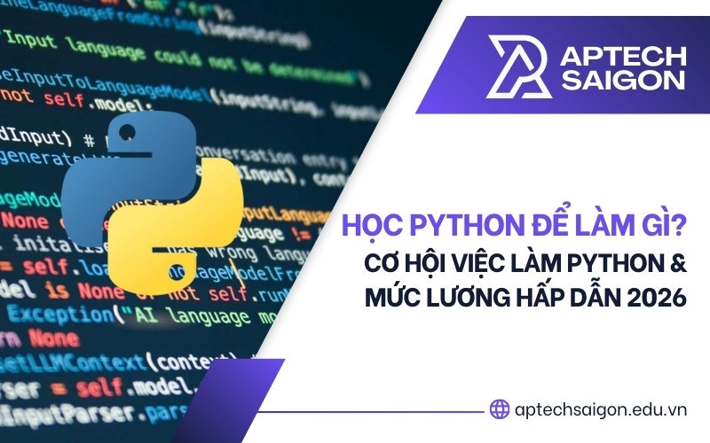 học Python để làm gì