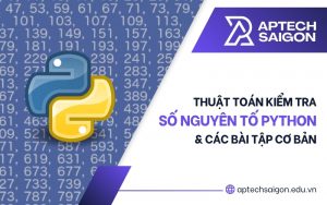 Kiểm tra số nguyên tố Python
