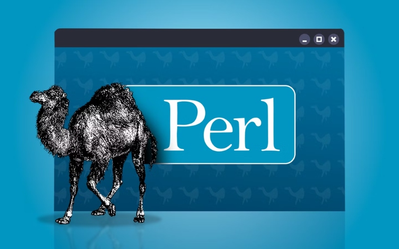 Ngôn ngữ lập trình Perl