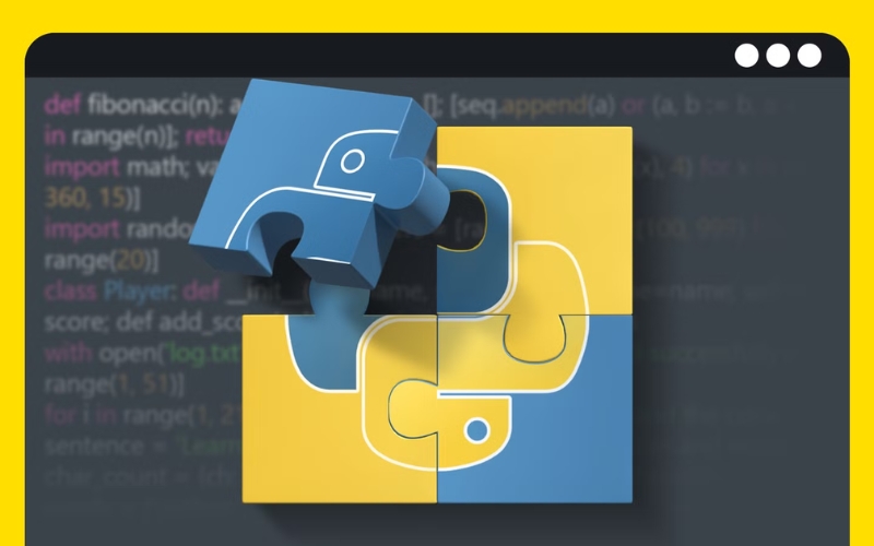 Có nên học lập trình Python không